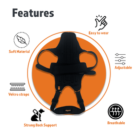 Dog Back Brace for Dogs with Inserts for Extra Support