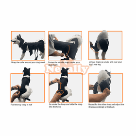 Dog Back Brace for Dogs with Inserts for Extra Support