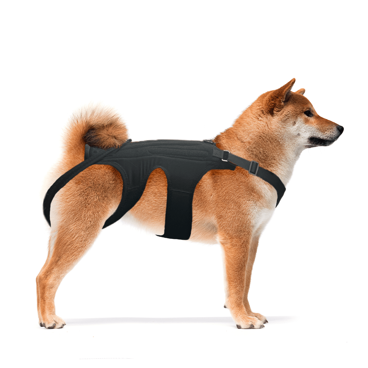 Dog Back Brace for Dogs with Inserts for Extra Support