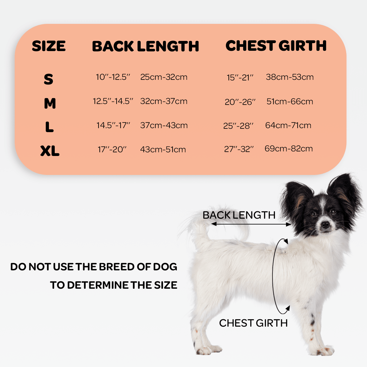 Dog Back Brace for Dogs with Inserts for Extra Support
