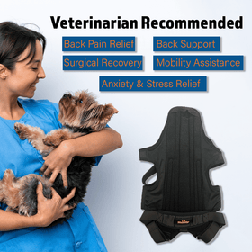 Dog Back Brace for Dogs with Inserts for Extra Support