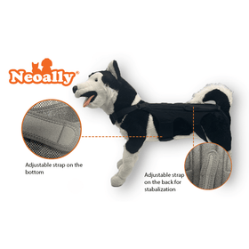 Dog Back Brace for Dogs with Inserts for Extra Support