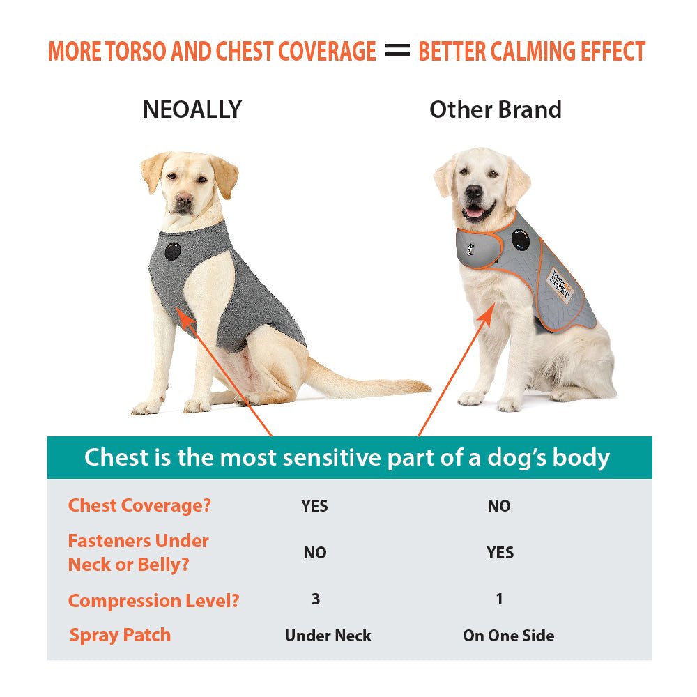 Upgraded Dog Surgical Recovery Vest for Dogs