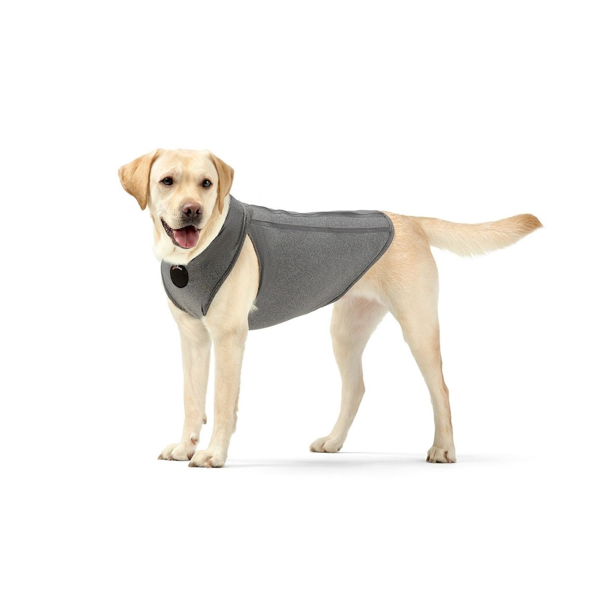 Upgraded Dog Surgical Recovery Vest for Dogs