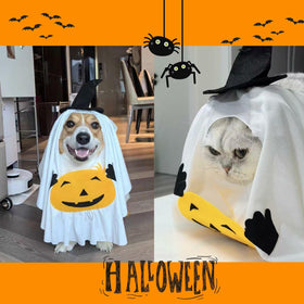 Pumpkin Ghost Costume for Pets Medium