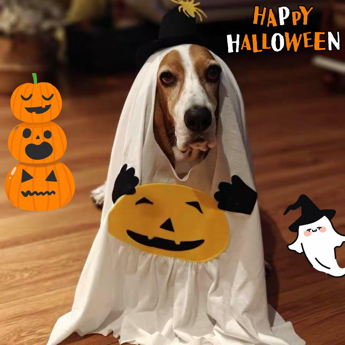 Pumpkin Ghost Costume for Pets Medium