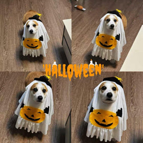 Pumpkin Ghost Costume for Pets Medium