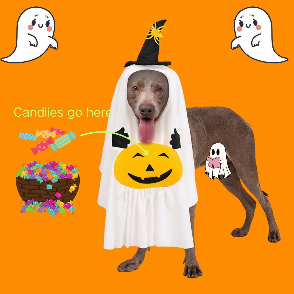 Pumpkin Ghost Costume for Pets Medium