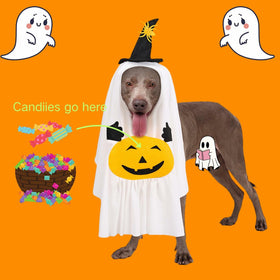 Pumpkin Ghost Costume for Pets Medium