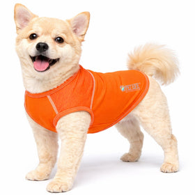 Stretch Yoga Fitness Dog T-Shirt Tank Top