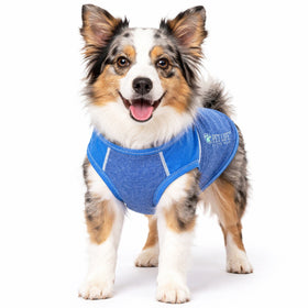 Stretch Yoga Fitness Dog T-Shirt Tank Top
