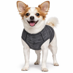 Stretch Yoga Fitness Dog T-Shirt Tank Top