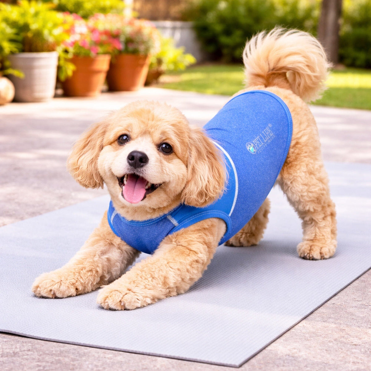 Stretch Yoga Fitness Dog T-Shirt Tank Top