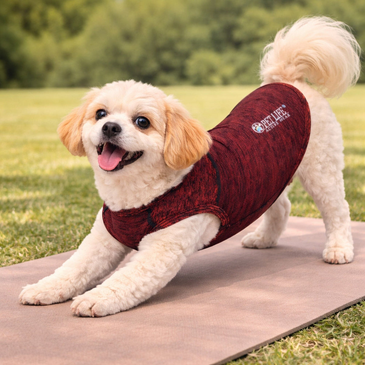 Stretch Yoga Fitness Dog T-Shirt Tank Top