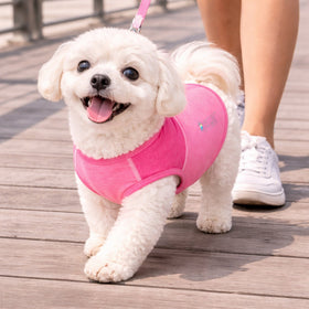 Stretch Yoga Fitness Dog T-Shirt Tank Top