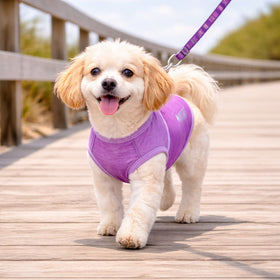Stretch Yoga Fitness Dog T-Shirt Tank Top