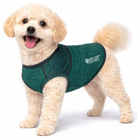 Stretch Yoga Fitness Dog T-Shirt Tank Top