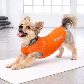 Stretch Yoga Fitness Dog T-Shirt Tank Top
