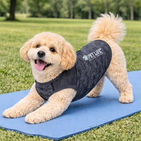 Stretch Yoga Fitness Dog T-Shirt Tank Top