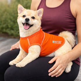 Stretch Yoga Fitness Dog T-Shirt Tank Top