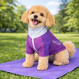 4-Way-Stretch Yoga Fitness Long-Sleeve Dog T-Shirt