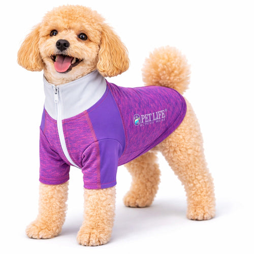4-Way-Stretch Yoga Fitness Long-Sleeve Dog T-Shirt