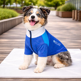 4-Way-Stretch Yoga Fitness Long-Sleeve Dog T-Shirt