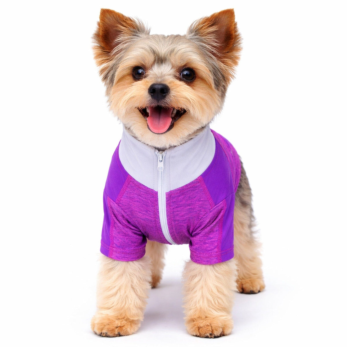 4-Way-Stretch Yoga Fitness Long-Sleeve Dog T-Shirt