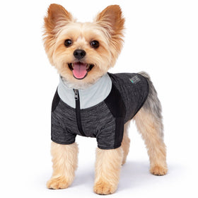 4-Way-Stretch Yoga Fitness Long-Sleeve Dog T-Shirt