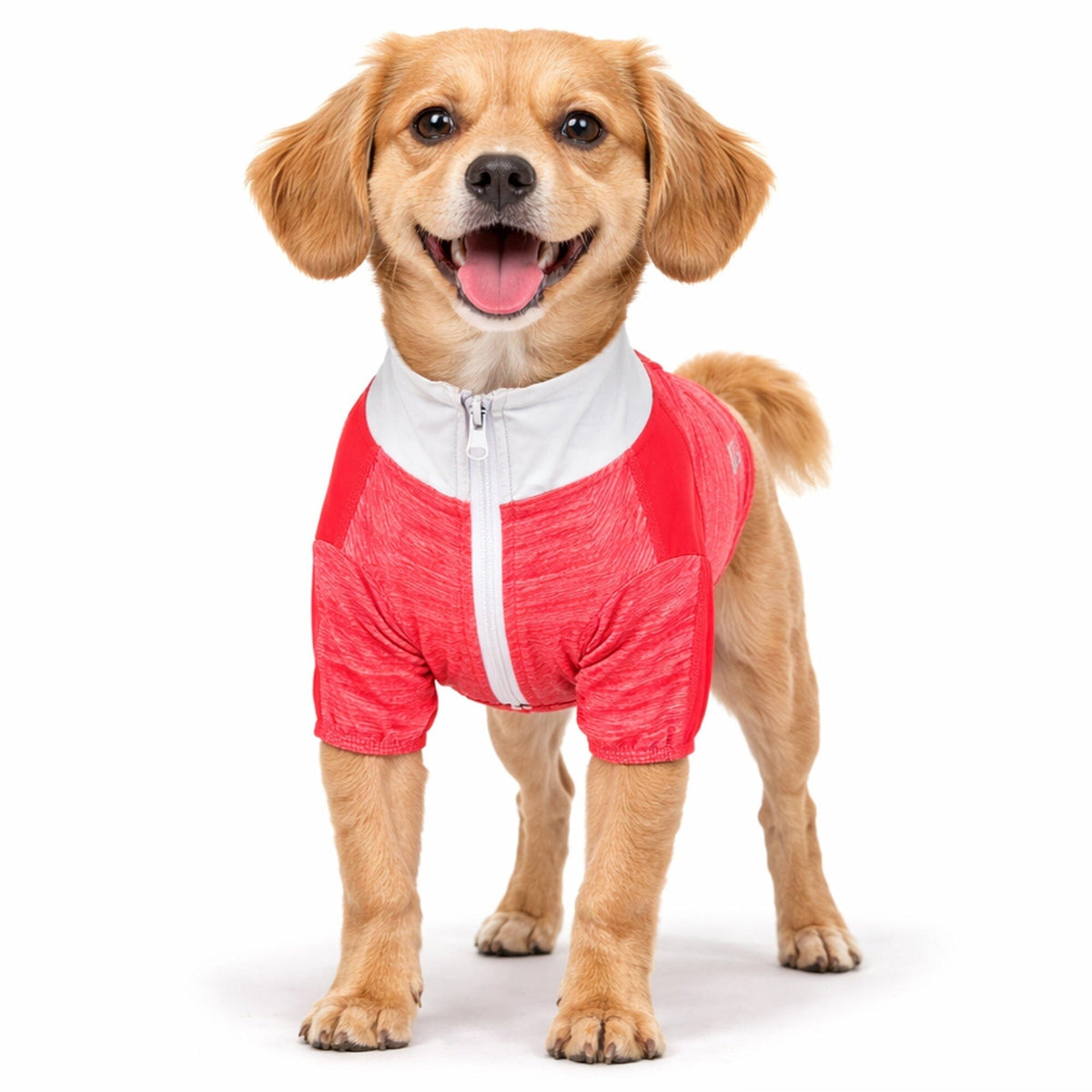 4-Way-Stretch Yoga Fitness Long-Sleeve Dog T-Shirt