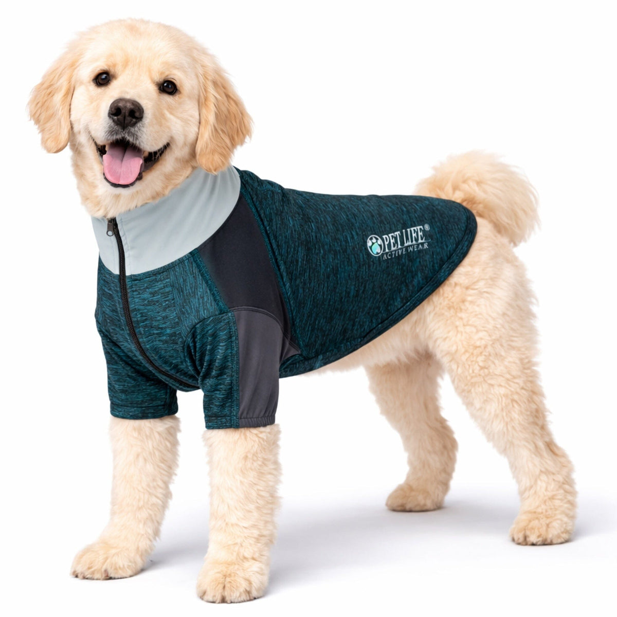 4-Way-Stretch Yoga Fitness Long-Sleeve Dog T-Shirt
