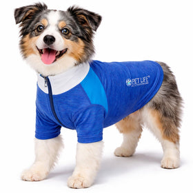 4-Way-Stretch Yoga Fitness Long-Sleeve Dog T-Shirt