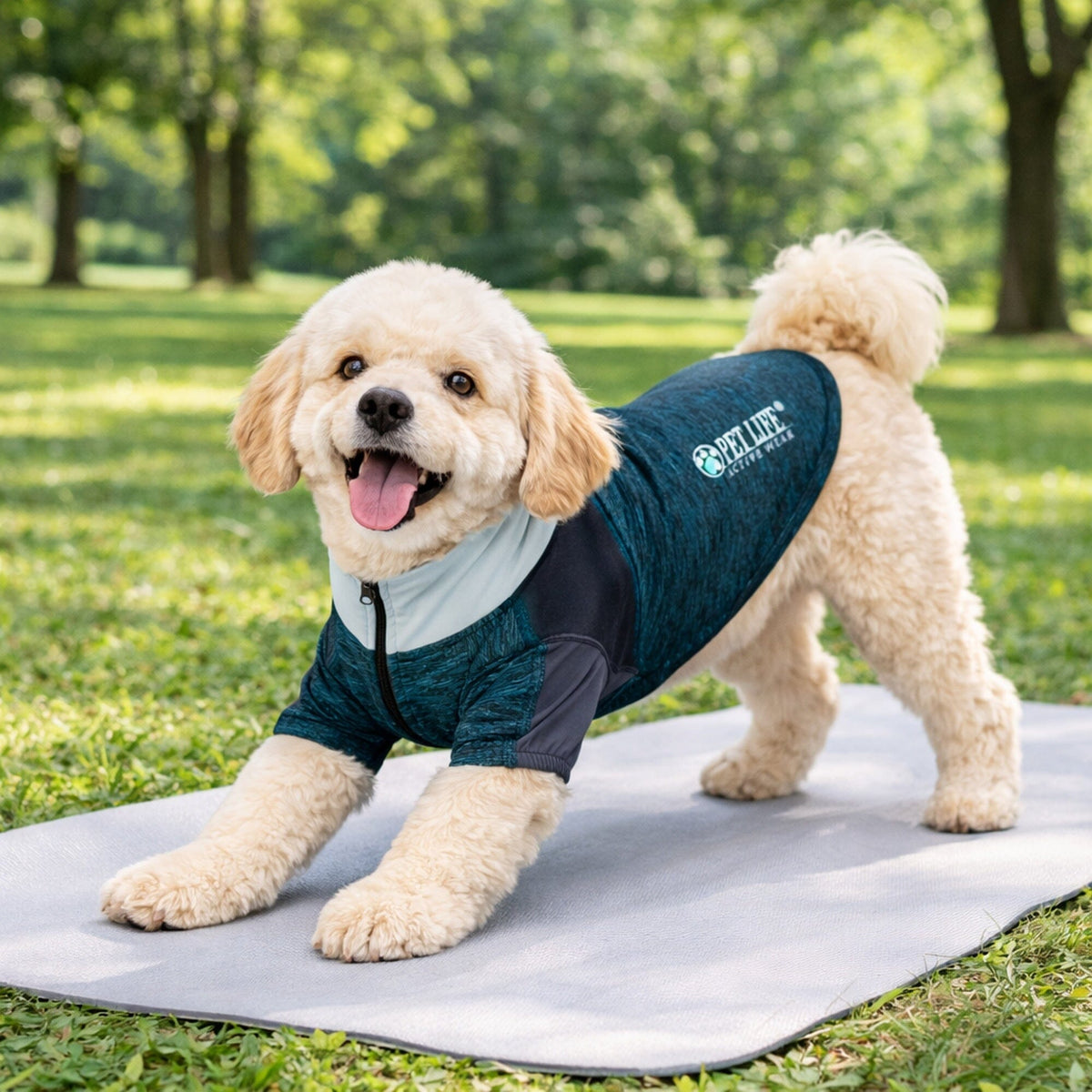 4-Way-Stretch Yoga Fitness Long-Sleeve Dog T-Shirt