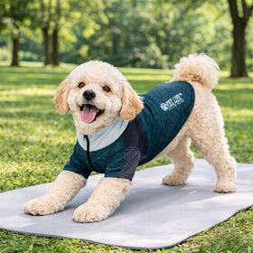 4-Way-Stretch Yoga Fitness Long-Sleeve Dog T-Shirt