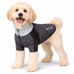 4-Way-Stretch Yoga Fitness Long-Sleeve Dog T-Shirt
