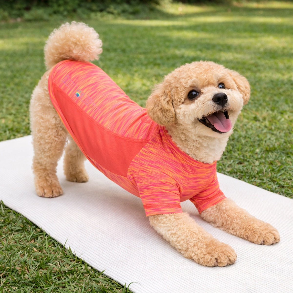 Heathered Ultra-Stretch Yoga Fitness Dog T-Shirt