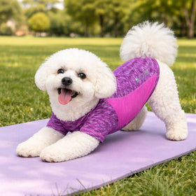 Heathered Ultra-Stretch Yoga Fitness Dog T-Shirt