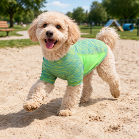 Heathered Ultra-Stretch Yoga Fitness Dog T-Shirt