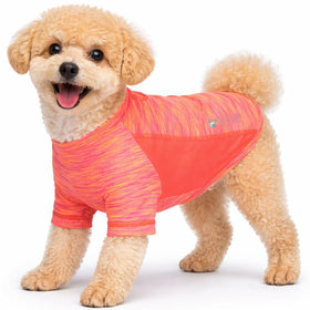Heathered Ultra-Stretch Yoga Fitness Dog T-Shirt