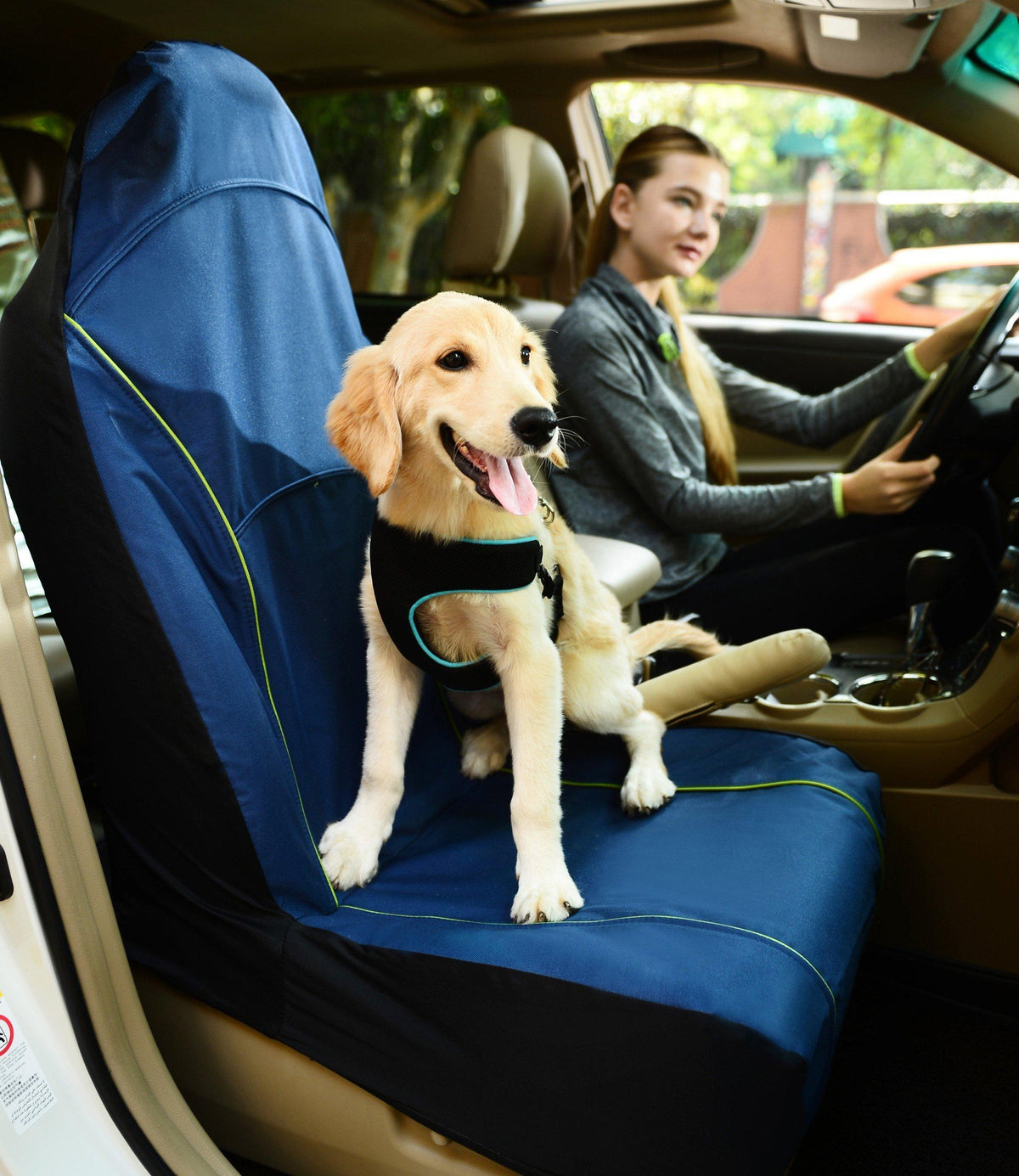 Pet Car Seat Carseat Cover Protector