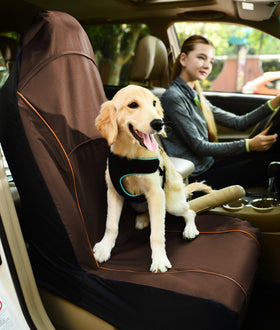 Pet Car Seat Carseat Cover Protector
