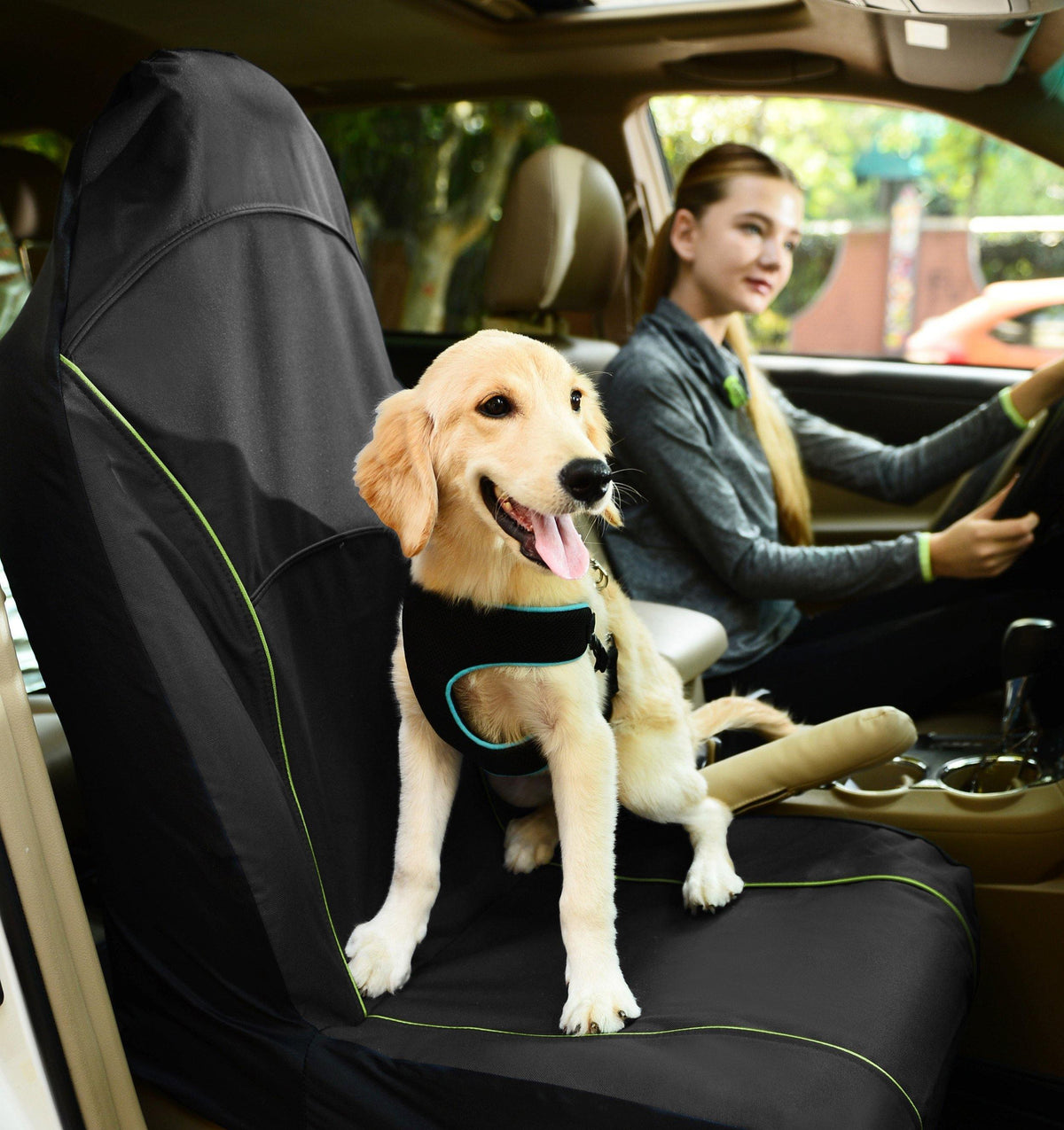 Pet Car Seat Carseat Cover Protector