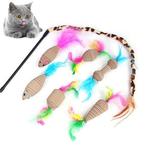 Interactive Pet Toys Assortments for Cats