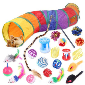 Interactive Pet Toys Assortments for Cats