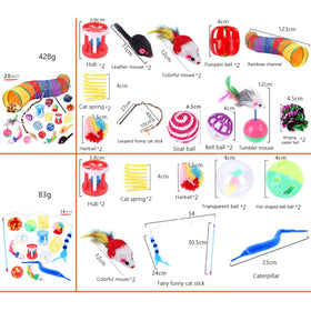 Interactive Pet Toys Assortments for Cats