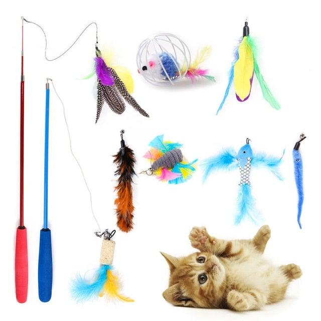 Interactive Pet Toys Assortments for Cats