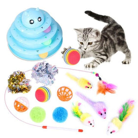 Interactive Pet Toys Assortments for Cats