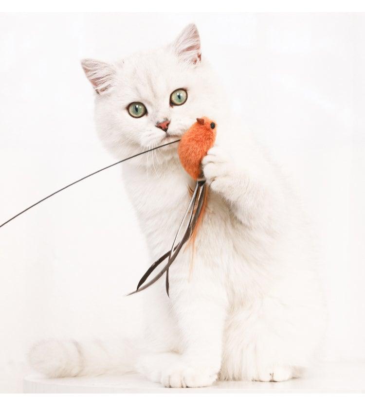 Feather Bird with Bell Toy