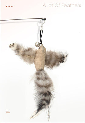 Feather Bird with Bell Toy