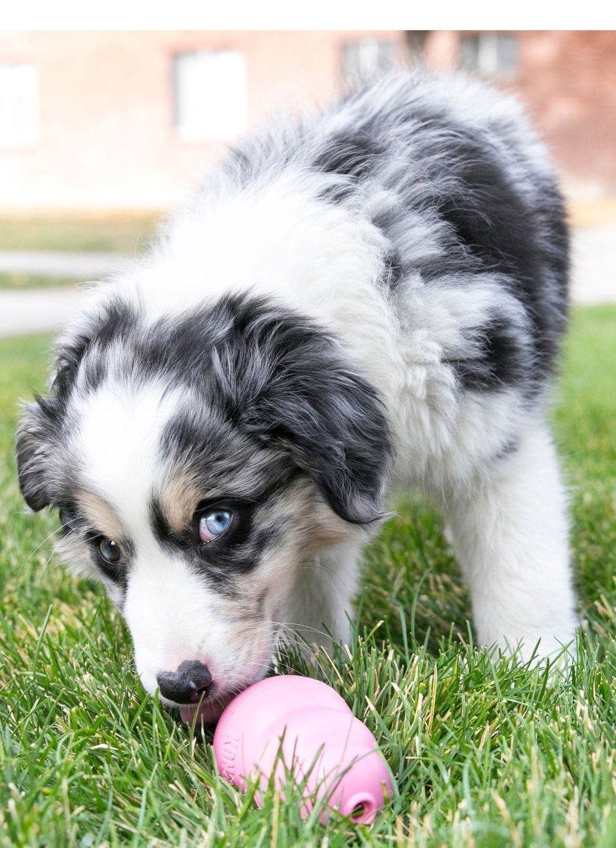 Puppy KONG® Teething Dog Toy